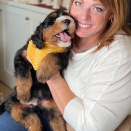 Bernedoodle, Cavapoo, and Goldendoodle Puppies from Blackberry Farm Puppies