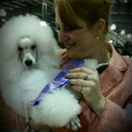 Miyuki - Poodle