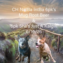 Male 03 - Red speckled male Australian Cattle Dog puppy in Sheridan, Oregon from 6pk Cattledogs