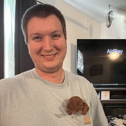 Poodle Puppies from Pawsable Prospects