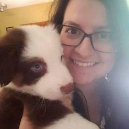 Australian Shepherd Puppies from Adams Family Aussies