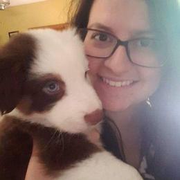 Australian Shepherd Puppies from Adams Family Aussies