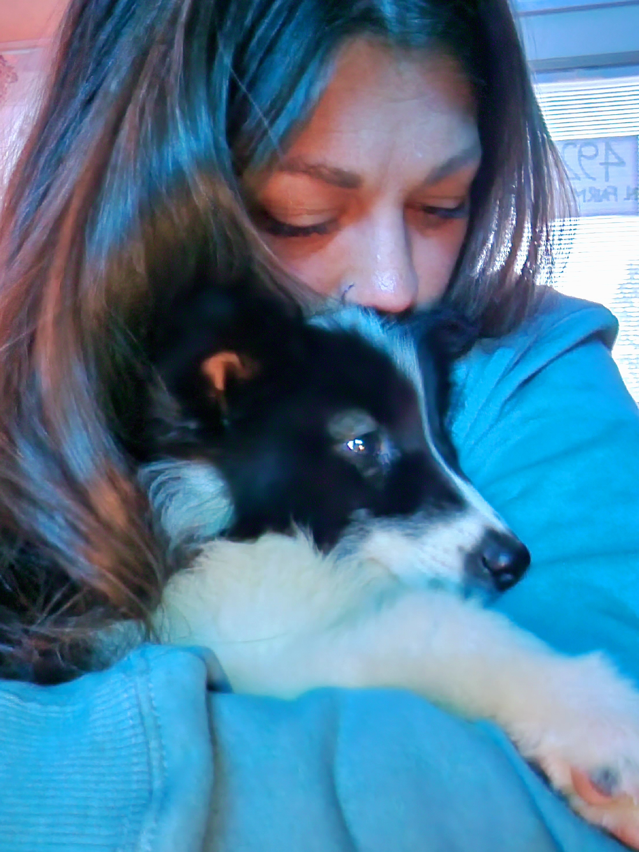 Native American Indian Dog Puppies from Corn Moon Kennels