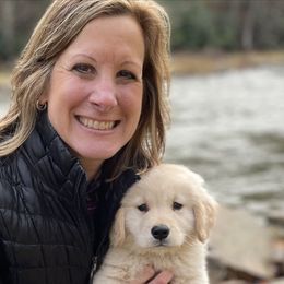 Golden Retriever Puppies from OPK Goldens