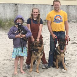 German Shepherd Puppies from Oregon German Shepherds
