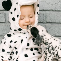 Dalmatians from Sunshine Dals