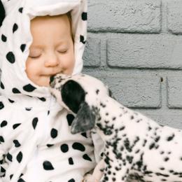 Dalmatians from Sunshine Dals