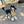 Unnamed