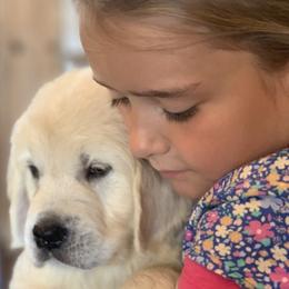 Golden Retriever Puppies from Rockinbfarms