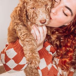 Goldendoodle Puppies from Summer Sun Doodles