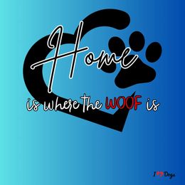 Shih Tzu Puppies from N.F.S.T Imperial ShihTzu Puppies.