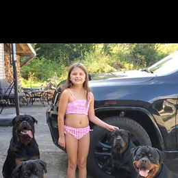 Rottweiler Puppies from Iron Clad Rottweiler