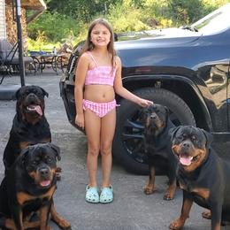 Rottweiler Puppies from Iron Clad Rottweiler