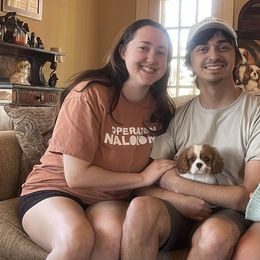 Cavalier King Charles Spaniel Puppies from Oak Haven Cavaliers