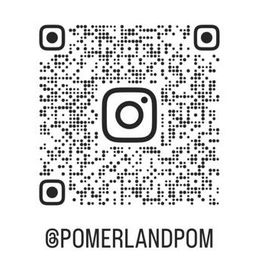 Pomeranian Puppies from POMERLAND exotic Pomeranians of Orlando