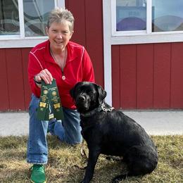Labrador Retriever and Pembroke Welsh Corgi All Grown Up from Racing Winds Pembroke and Labradors