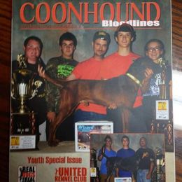 Old ben - Redbone Coonhound