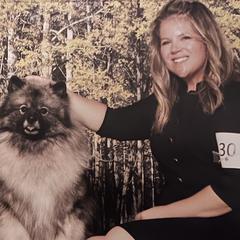 Keeshonden from SummerMist Keeshond