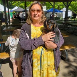 Dachshund All Grown Up from Mini Mighty Doxies