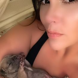 French Bulldog Puppies from LaFlorida Kennels