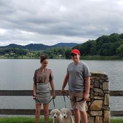 Border Collie and Maremma Sheepdog Puppies from 2J 2K Border Collies & Maremma Sheepdogs