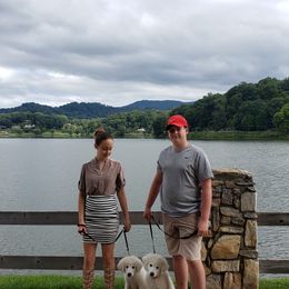 Border Collie and Maremma Sheepdog Puppies from 2J 2K Border Collies & Maremma Sheepdogs