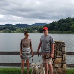 Border Collie and Maremma Sheepdog Puppies from 2J 2K Border Collies & Maremma Sheepdogs