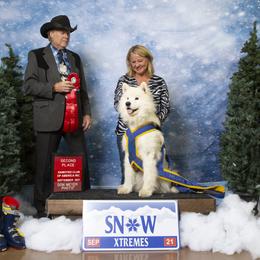 Samoyed All Grown Up from Cirque D' Samz