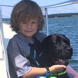 Labrador Retriever Puppies from Lorlyn Labradors