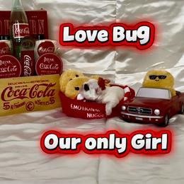 Love Bug - White female Bulldog puppy in Tremonton, Utah from Snuggle Pups