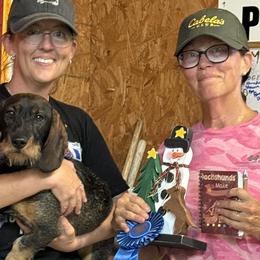 Dachshunds from McCann Creek