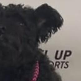 Searphine - Pumi