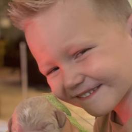 Goldendoodle Puppies from Not Just "Golden" Doodles