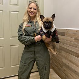 Toasty - French Bulldog