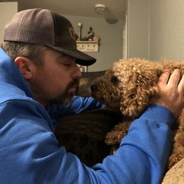 Goldendoodle All Grown Up from Blushing Doodles