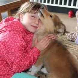 Collie Puppies from Maclen Collies