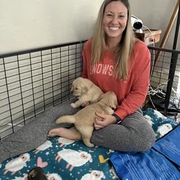 Golden Retriever Puppies from Golden Hour Golden Retrievers