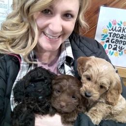 Cockapoo Puppies from Ouachita River Cockapoos