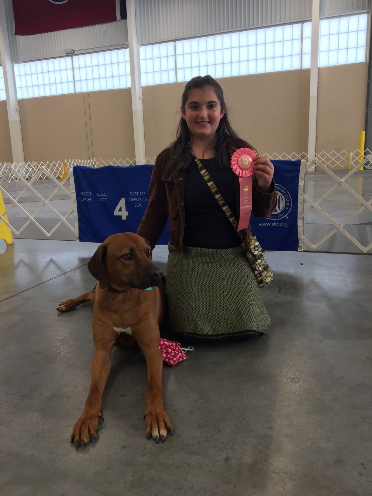 Ridgeback Farm in Kentucky Rhodesian Ridgeback puppies Good Dog