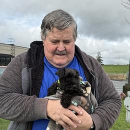 Forest - Green collar (Male black with white chest -small - Black male Miniature Schnauzer puppy in Ravensdale, Washington from Serenity Schnauzers