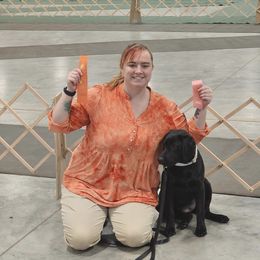 Labrador Retrievers from Tsuki Labradors