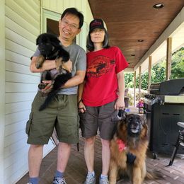 German Shepherd Puppies from Von Hoene Heritage Shepherds