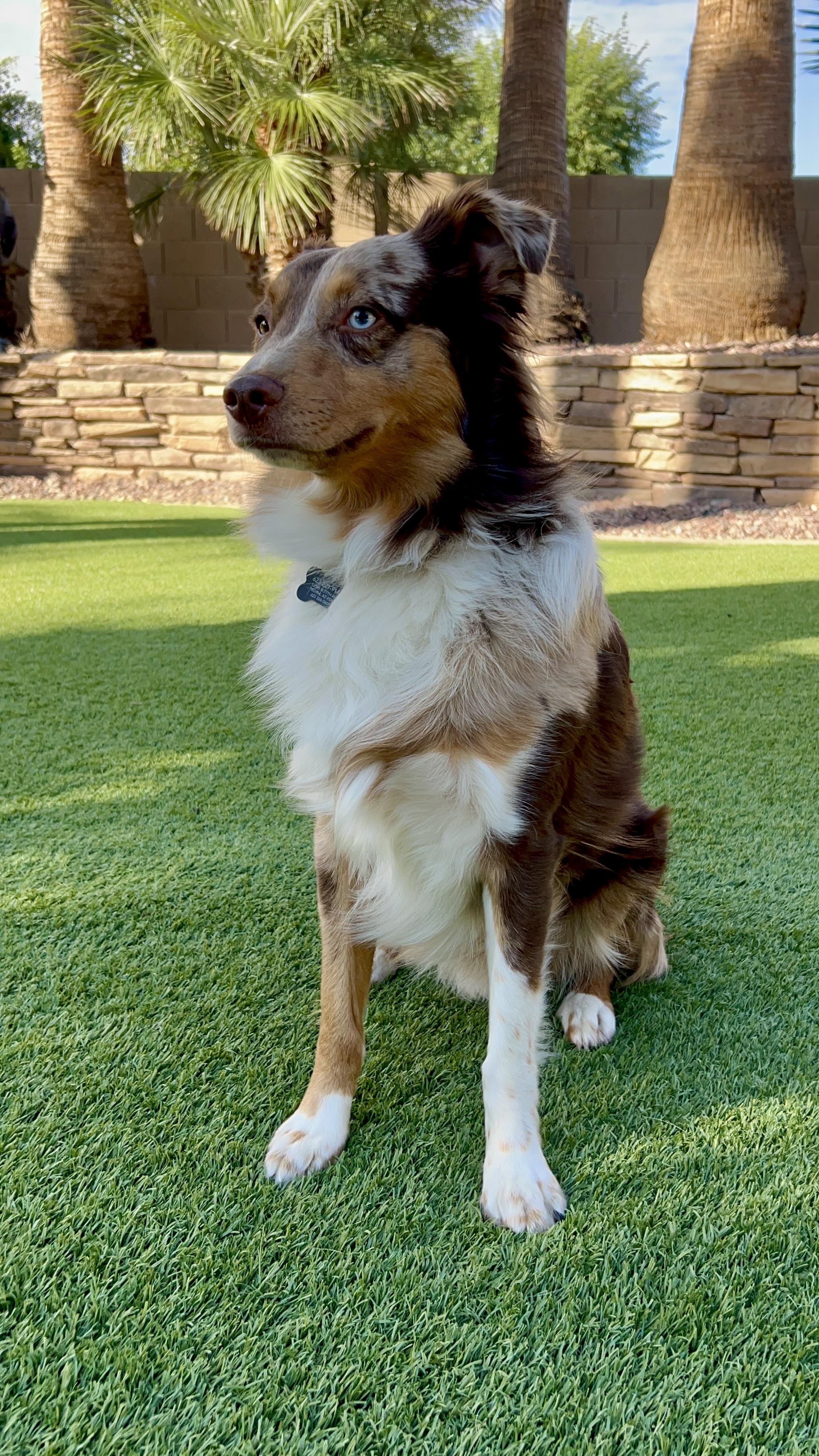 Jax