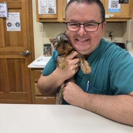 Yorkshire Terrier Puppies from Grand 7 Kennelz