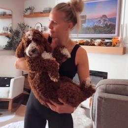 Topper - Goldendoodle