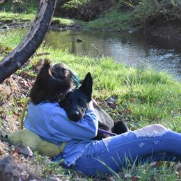 German Shepherds from Paladin Haus German Shepherds