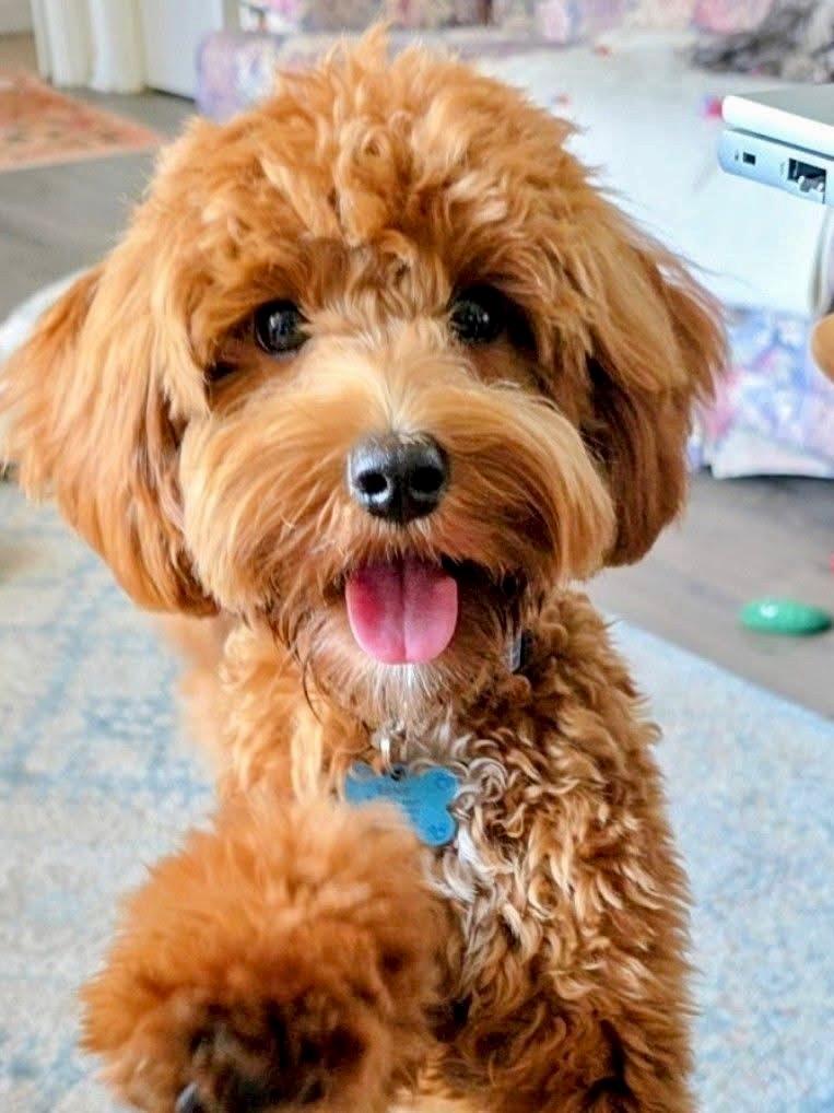 Ernie