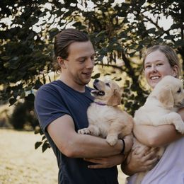 Golden Retriever Puppies from Rosemary Goldens