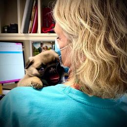 Great Pyrenees, Pekingese, and Pug Puppies from Triptych Kennels