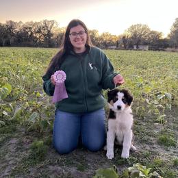 Australian Shepherd Puppies from Underworld Australian Shepherds
